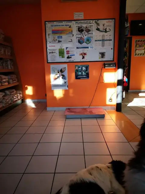 Veterinary Clinic Brou