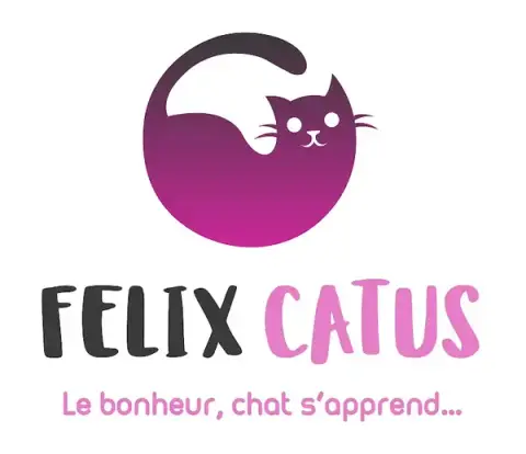 Felix Catus - comportementaliste félin