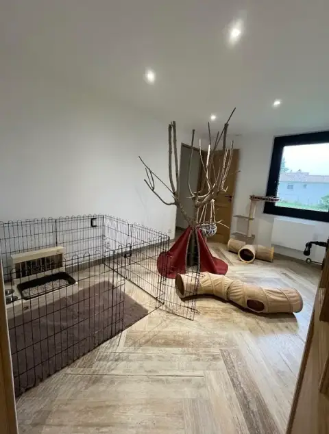 Mille Patounes - Pension chien, chat et NAC - Visite à domicile