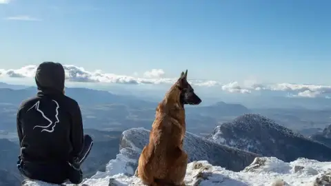 Educat'Eurre canin - Drôme