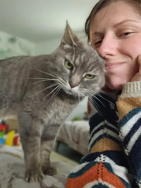 Les Patounes du Glazik, Sophie Lukomski : Petsitting - Dogwalking - Naturopathe animalier