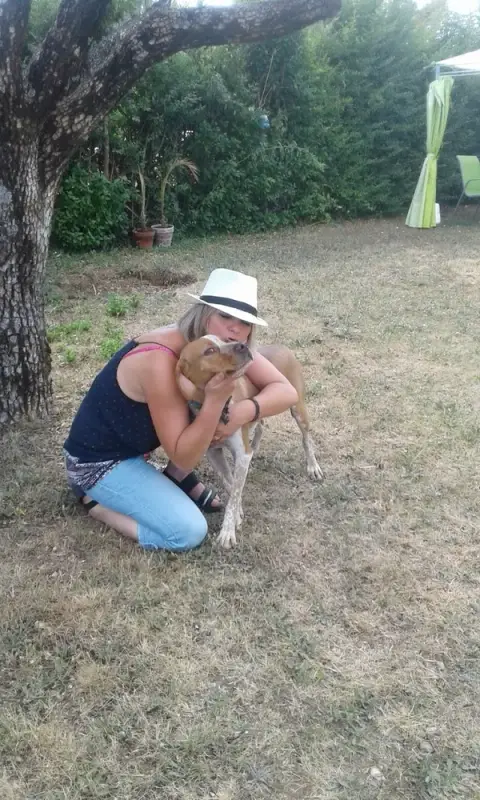 crèche canine 04