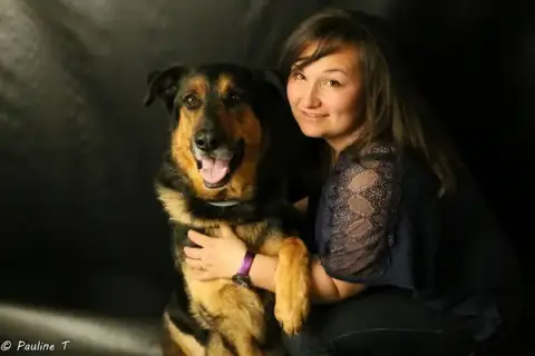 Hélios éducation canine en Vendée, Éducatrice Canin Comportementaliste Diplôme d'État, médiation animale avec les chiens.