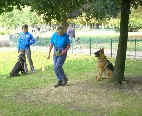 CANI CLASS Education Canine et Comportement