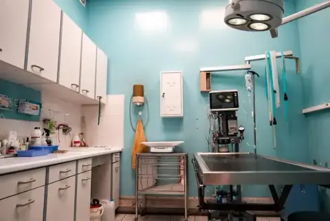 Clinique Vétérinaire de Beynes