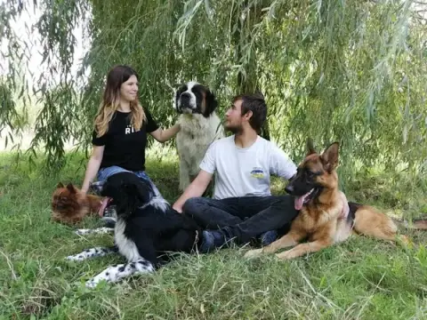 Pension canine en famille (44)