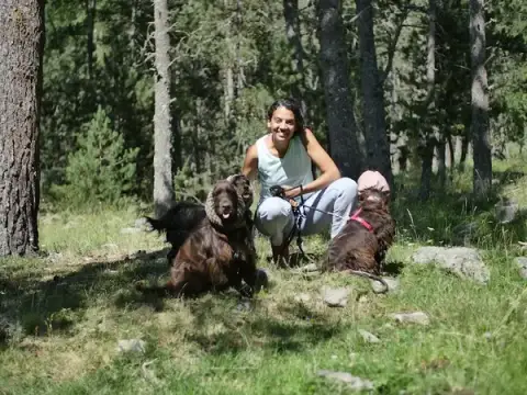 Un Pas, Une Patte - éducation canine