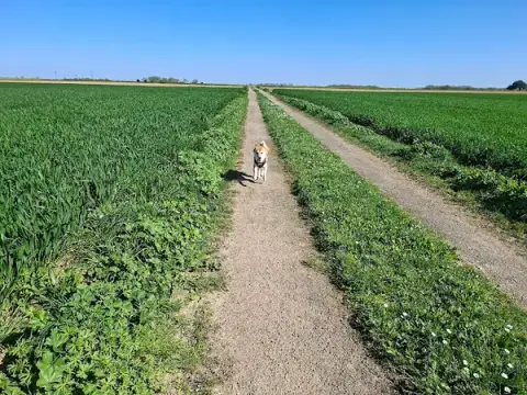 CaniVIP Educateur Comportementaliste canin La Rochelle et environs