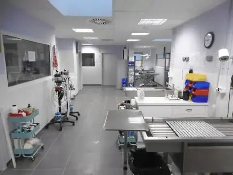 Ligeria - Veterinary Clinic