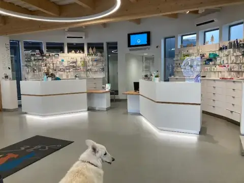 Veterinary Clinic 38 5