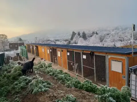 FayaLand