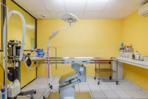 Clinique vétérinaire des Sables-d'Olonne - Sevetys