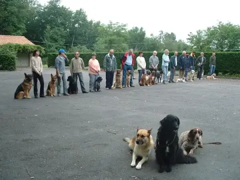 Educ'action canine de l'argoat