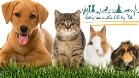 Partez Tranquille 65 by Nat : garde familiale d'animaux et éducateur Comportementaliste Canin