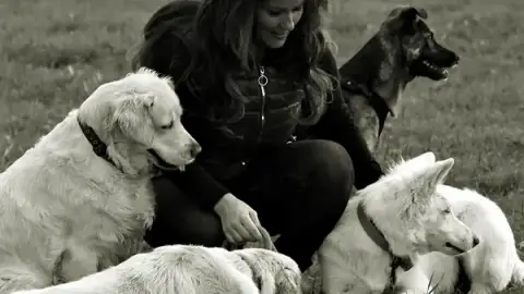 Une autre écoute - Education canine et équine