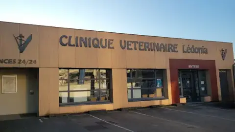 Veterinary Clinic Doctor Violot