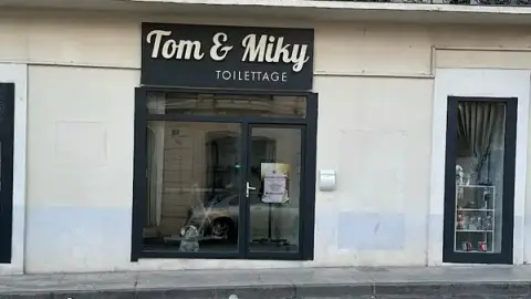 Salon de toilettage Tom & Miky Béziers