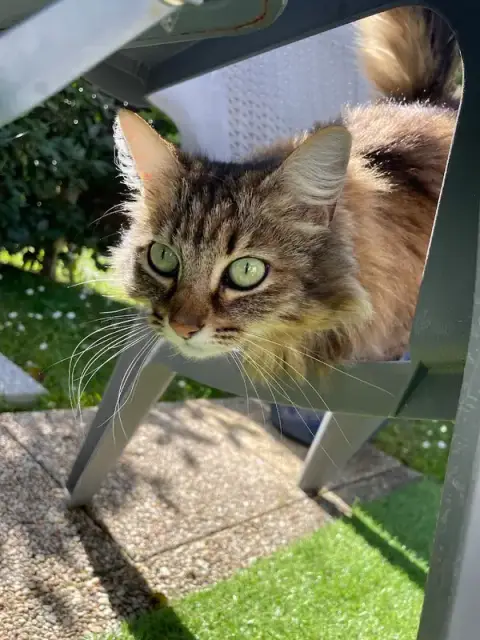 Alex Petsitting