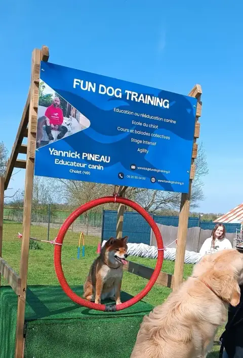 Fun Dog Training- éducateur canin Cholet(49)