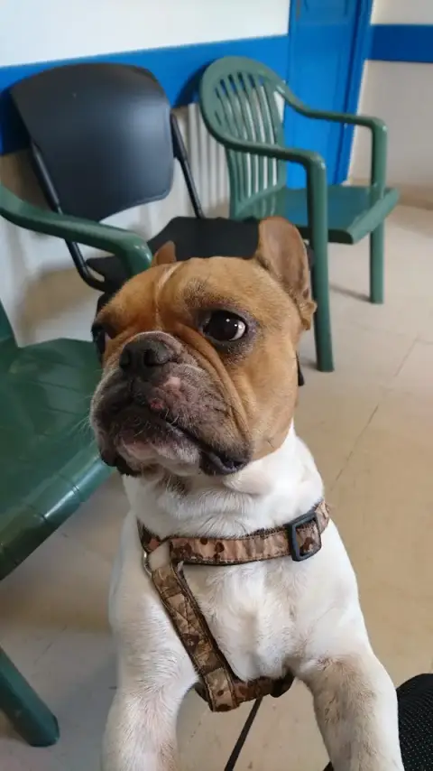 Le Roy Sophie