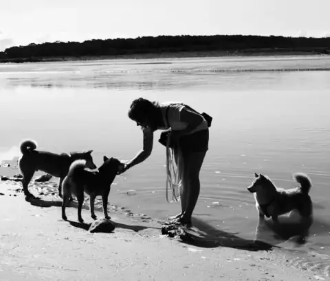 Education Pawsitive - Educateur et comportementaliste canin