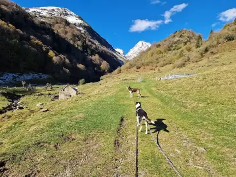 Emma'nimalis, visite d'animaux de compagnie à votre domicile et promenade sur site touristique