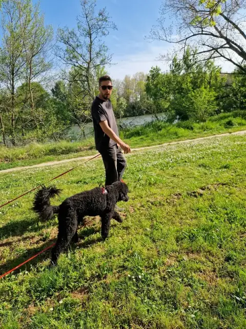 Victor Education Canine