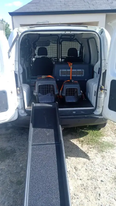 LE COMPAGNON Transport d'animaux domestiques particuliers & professionnels, Éducateur comportementaliste chien & chat