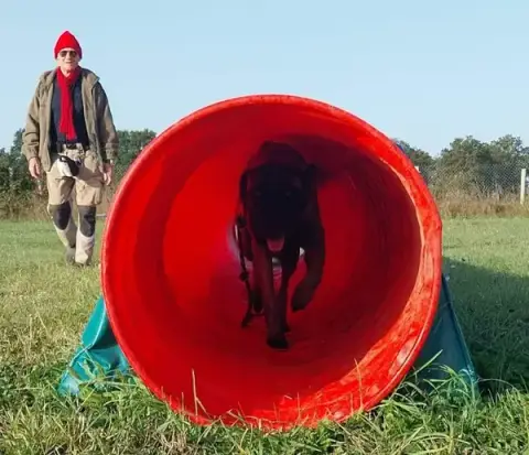 Educateur canin Indre-et-Loire 37, TRAINING DOG