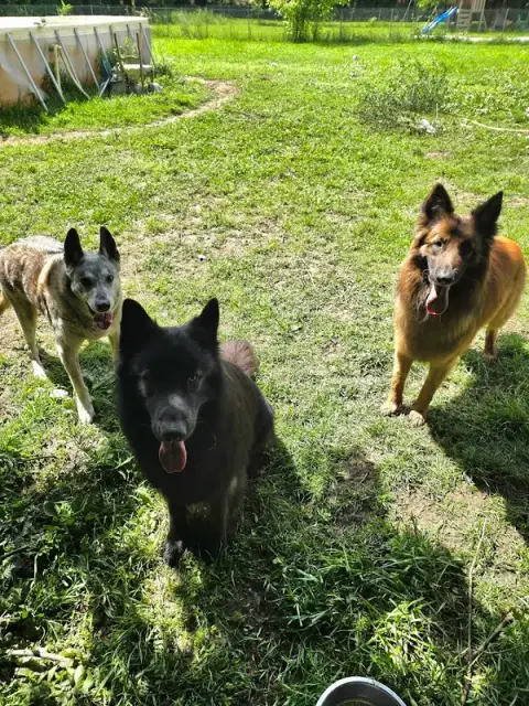 Sticks'n'Bones