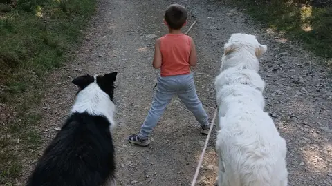 Garde animaux
