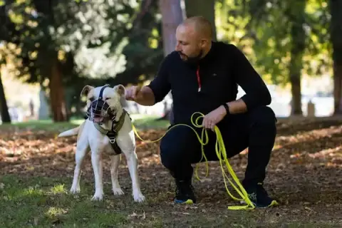 Frangy Educateur Canin