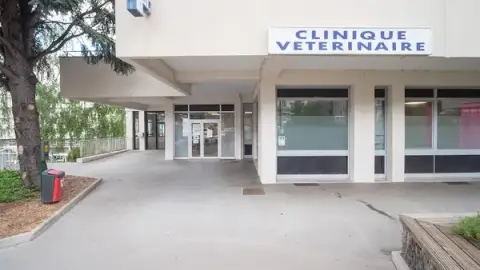 Clinique Vétérinaire Argos Le Chambon Feugerolles