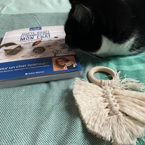 MUZOZEN Comportementaliste Chat et Chien-Educateur canin Garde à Domicile chat et lapin