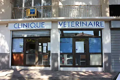 Clinique Vetlife - Lucciana