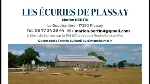 Pension canine en Charente Maritime à Plassay à côté de Saintes photo 4