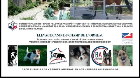 Pension canine en Charente Maritime à Plassay à côté de Saintes photo 6