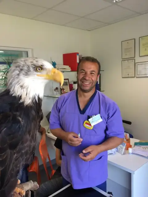 Clinique Vétérinaire l'Espigaou, Dr Olivier Porcher, Dr Samy Abdellich