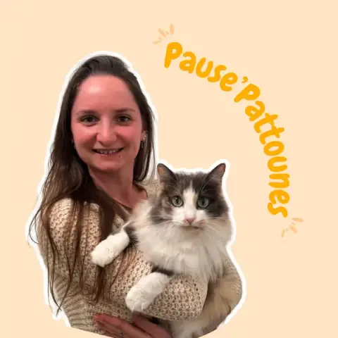 Pause'Pattounes - Pet Sitter chiens, chats, lapins