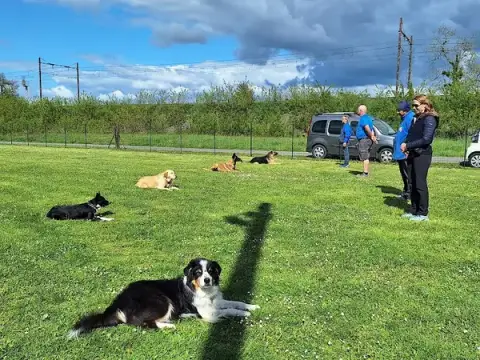 Club Canin Peronnas