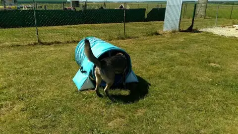CLUB D’ÉDUCATION ET D’AGILITY AMIENS-GLISY