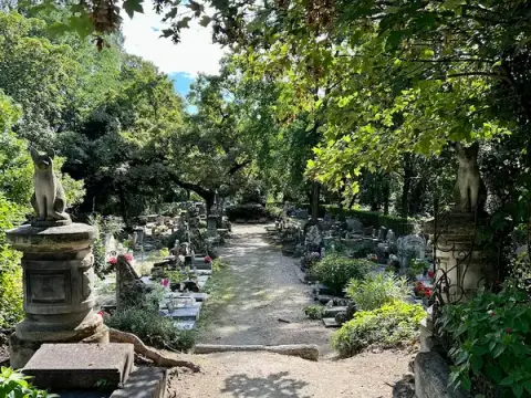 ✨ Pompes Funèbres pour Animaux - Inhumation Animalière - Levallois-Perret 🦋