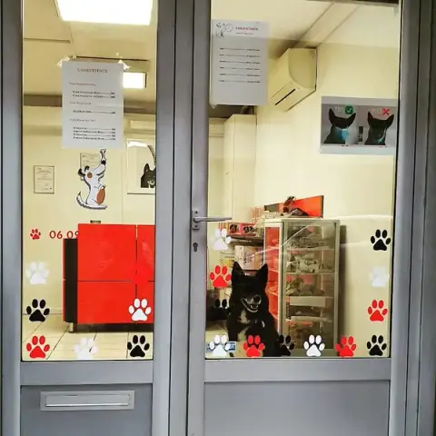 Canid'élire - Shop & Educator Comportementaliste Canin Marseille