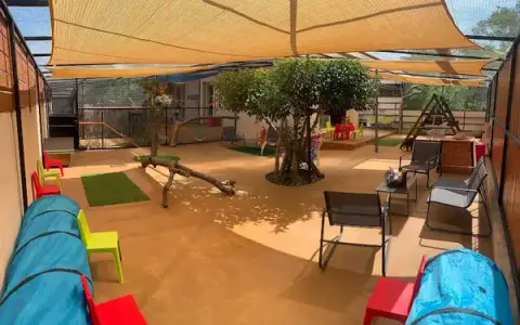 La Maison des Chats - Pension féline
