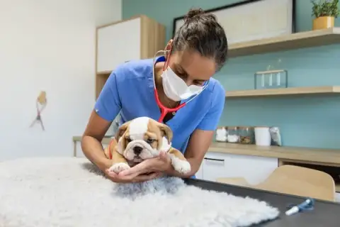 Dr MARIE-MAGDELEINE