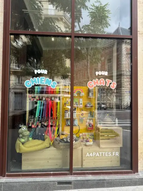 À 4 PATTES