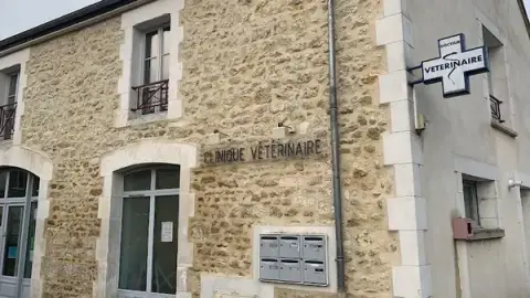 Clinique vétérinaire du Pont Paul Bert