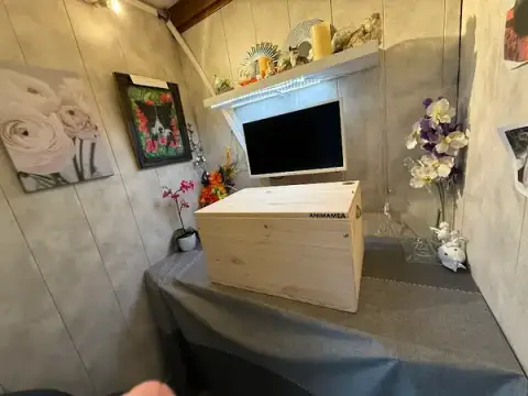 Mémoire d'une fleur Pompes Funèbres Animalières