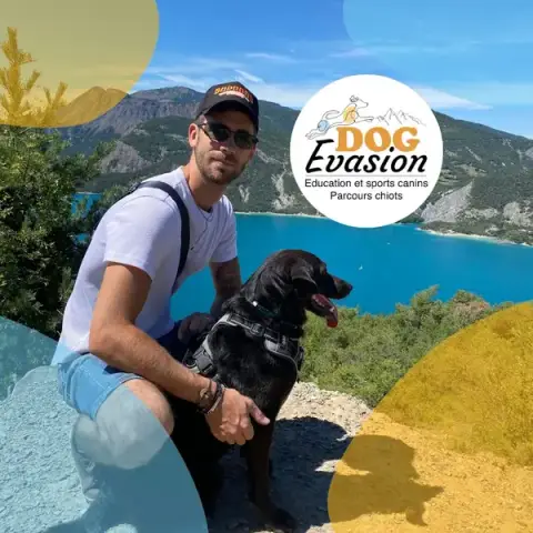 Dog Evasion 05