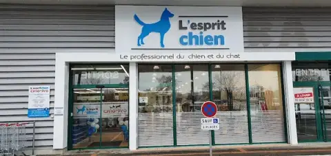 L' Esprit chien
